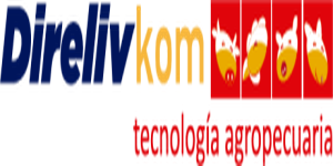 Recurso-1Logo-Direlivkom-300x54-1